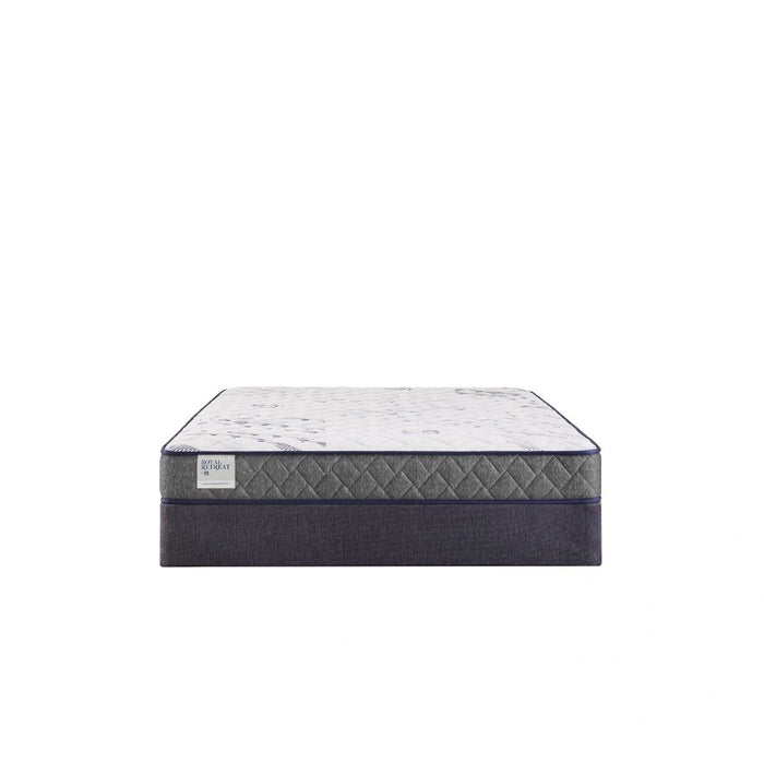 Sealy Paisley Foam Mattress