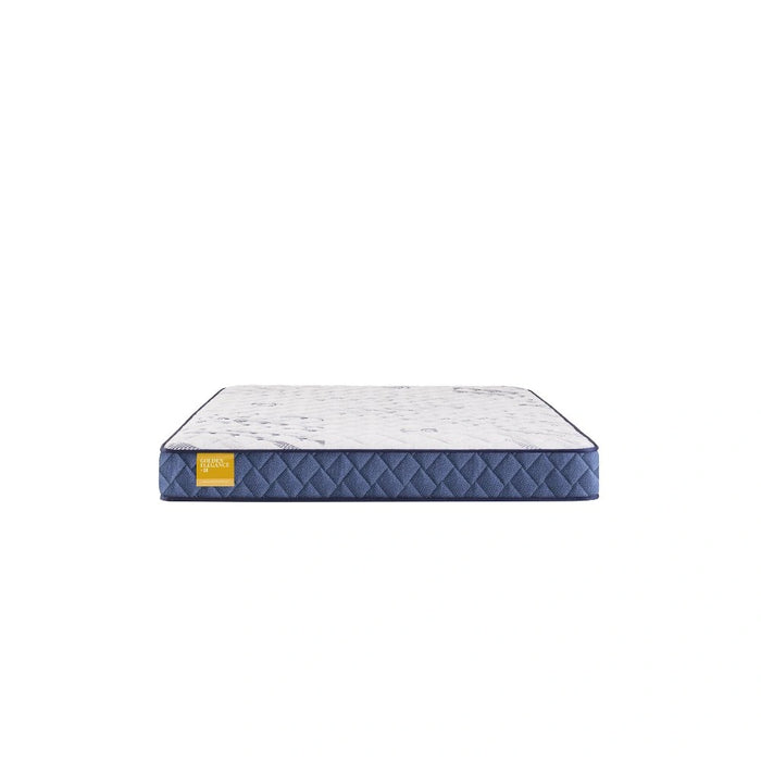 Glacier Park Foam Mattress