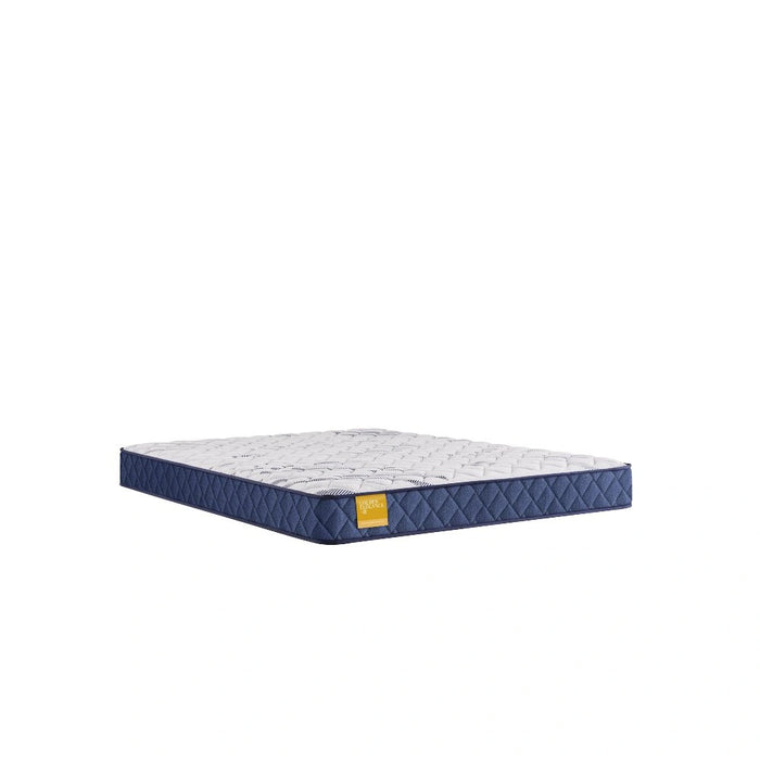 Sealy Erie Foam Mattress