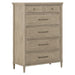 Rochelle Park 5 Drawer Chest image