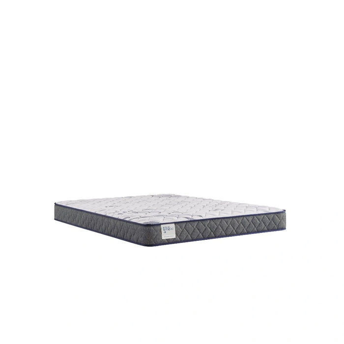 Sealy Paisley Foam Mattress
