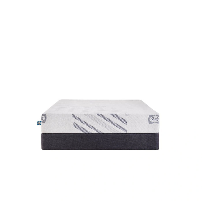 Sealy Provision Foam Mattress