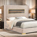 Danvers Bed - KC Furniture Outlet (Bakersfield,CA)